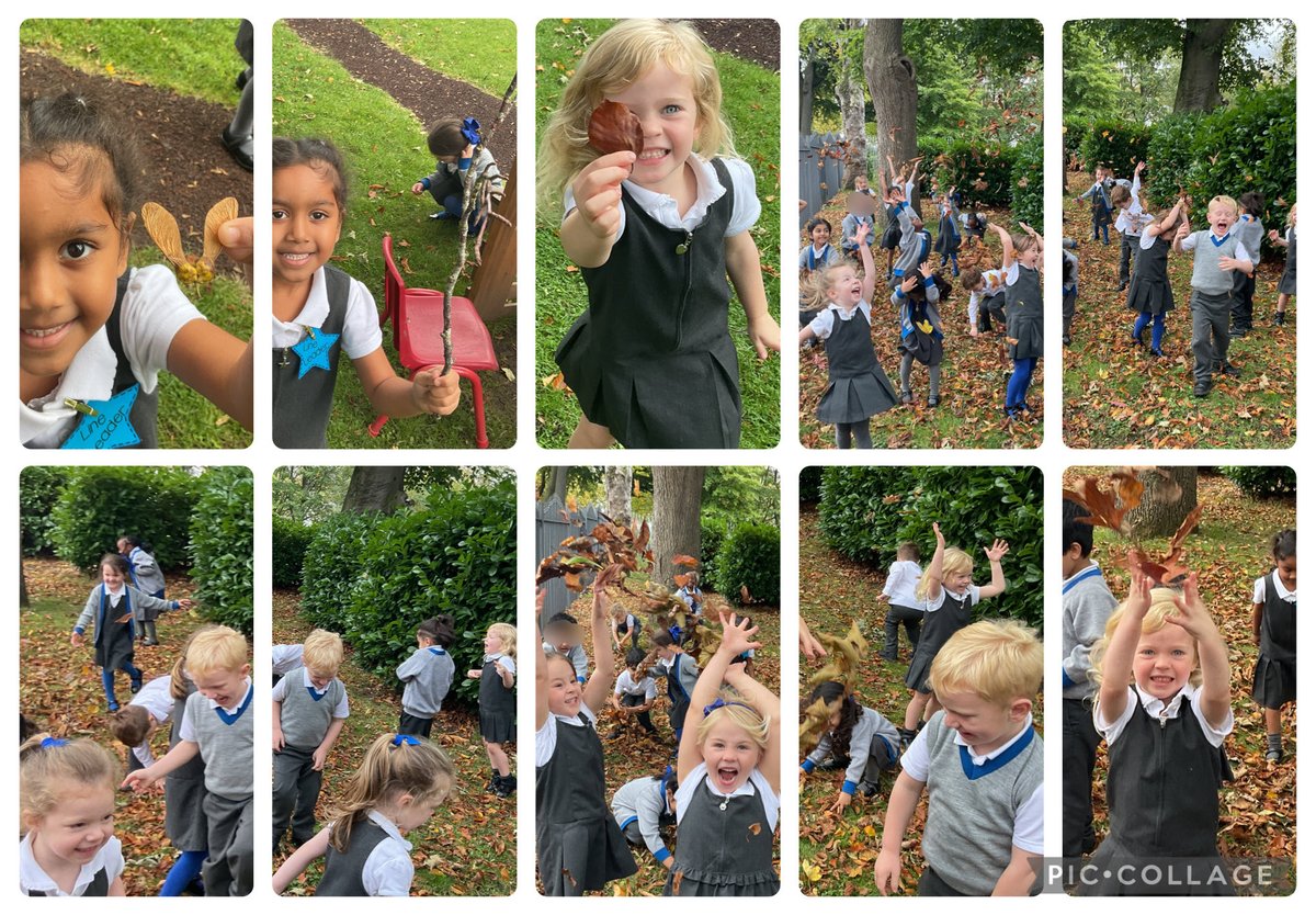 Beech House at Bolton School Primary Division tweet media