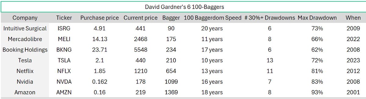 David Gardner's sexy six

(1 is no longer a 100-bagger).
Look at those drawdowns...