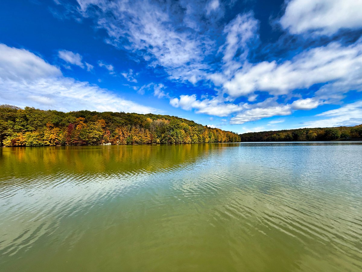 Crouton & Friends🏳️‍🌈🦋 tweet media