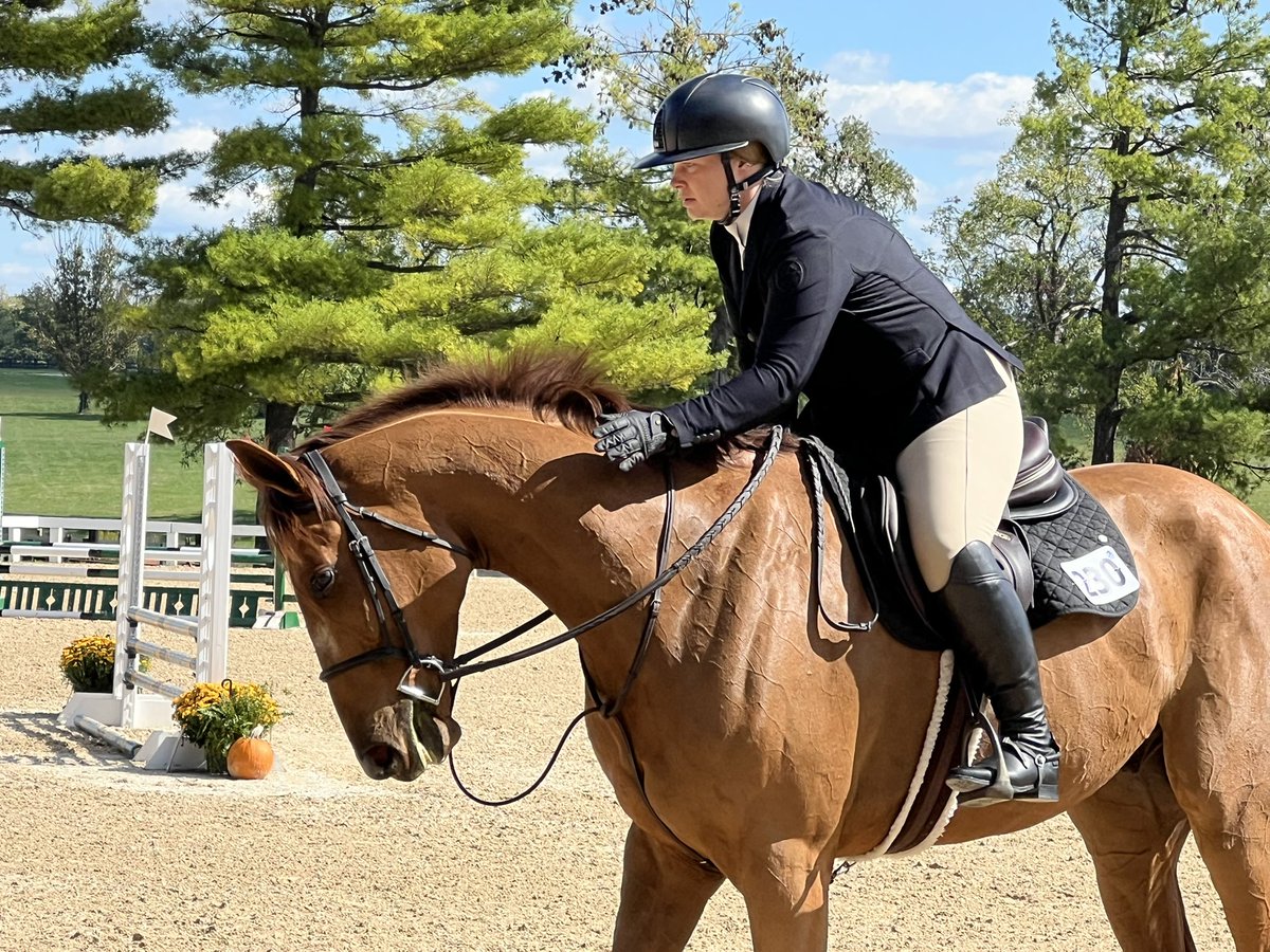 Joe Nevills (@joe_nevills) on Twitter photo Late Night Cruiser, a son of Catalina Cruiser, gets a pat from rider Rebekah Vernon after their Show Jumper round at the <a href="/RRP_TBMakeover/">Retired Racehorse Project</a>. Late Night Cruiser, a son of Catalina Cruiser, gets a pat from rider Rebekah Vernon after their Show Jumper round at the <a href="/RRP_TBMakeover/">Retired Racehorse Project</a>.