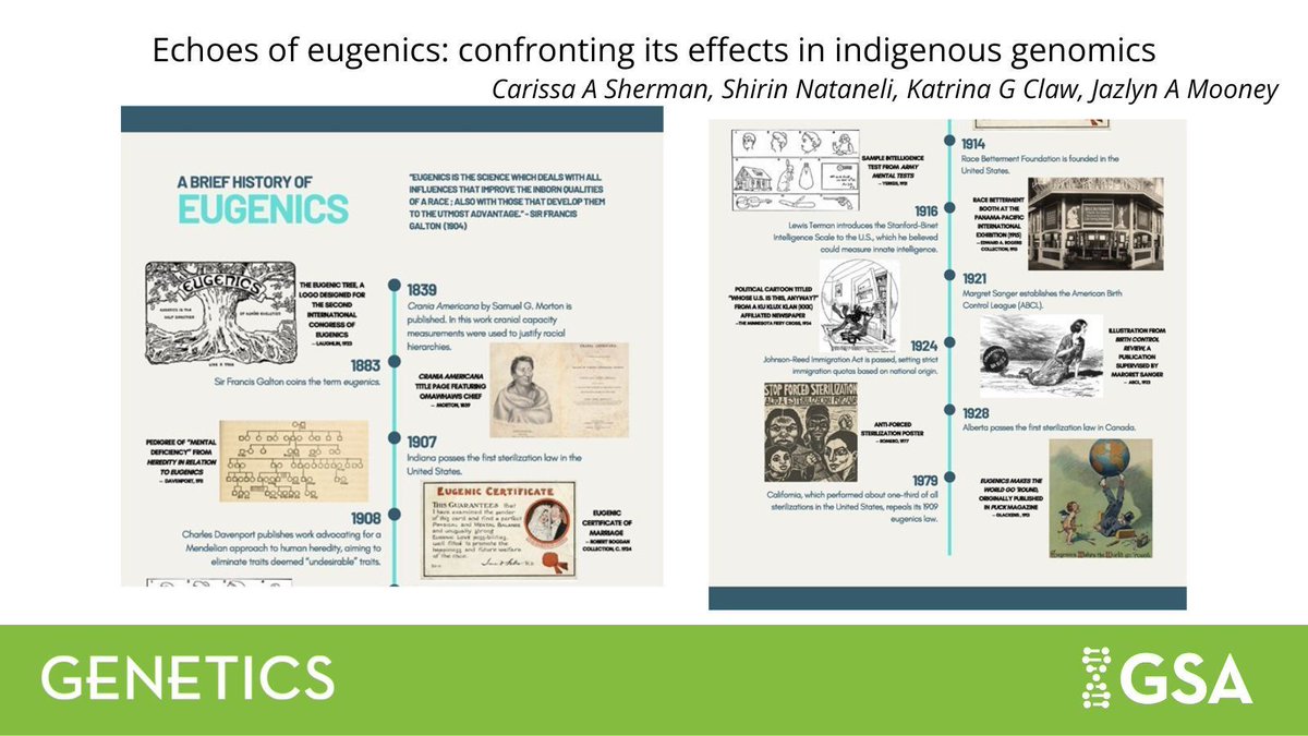 GeneticsGSA's tweet photo. Science is intertwined with eugenics, and eugenic ideologies continue to negatively impact #Indigenous communities and science today.

Read a timely and important perspective piece in #GENETICS from @Jazlyn_Mooney and colleagues: https://t.co/3TPLOD0iAd https://t.co/7q40Cu8SnE