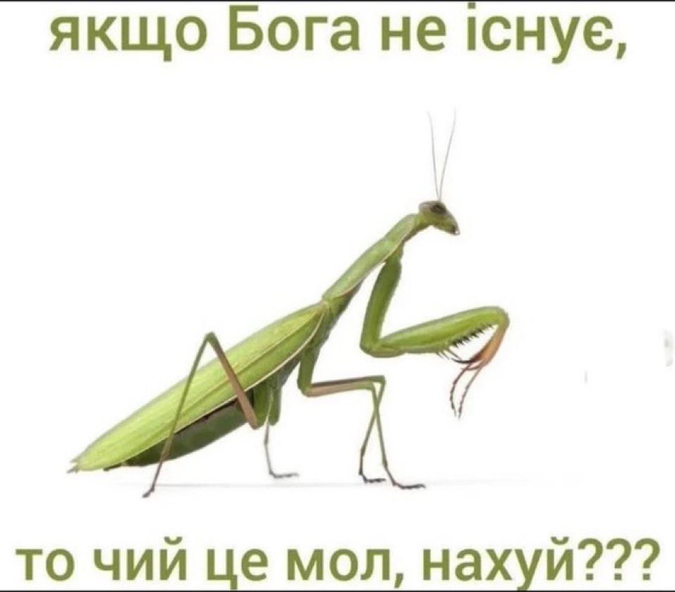 Ґеюга tweet media