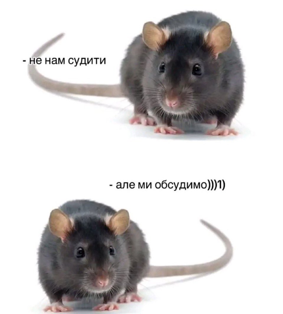 Ґеюга tweet media