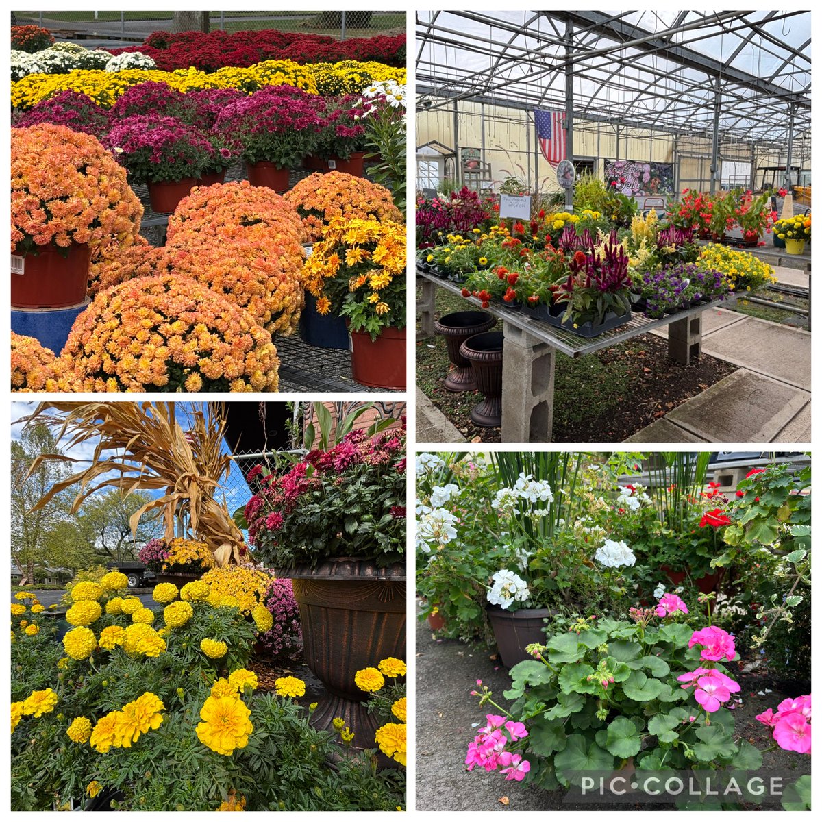 MattMcFarland3's tweet photo. With a freeze watch in place & the first frost of the season on the way for later this week, what can that mean for the growing season and your plants? Hear from an expert coming up on Eyewitness News @ 4:30 & 6. #WFSB https://t.co/5j1kK7XfyF