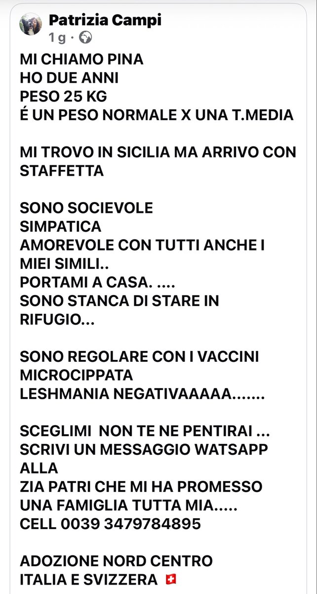 chruggeriTg2's tweet image. #Pina concentrato di dolcezza, obbedienza e simpatia. Ok anche con i suoi simili e adorabile con gli umani: aiutiamola a trovare una casa per sempre ❤️🙏per info Patrizia 3479784895 
😊😊😊una meravigliosa barbetta per il cuore giusto. RT amici