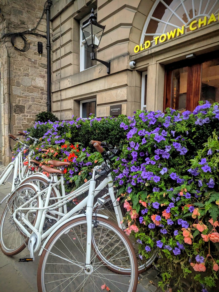 ポン🇬🇧👩🔬 tweet media