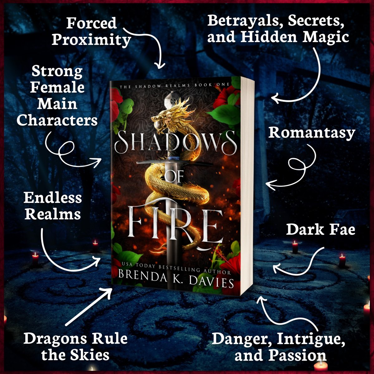 Discover what happens when a dark fae falls in love with a half vampire / half human in Shadows of Fire, book 1 of The Shadow Realms: brendakdavies.com/SFwb