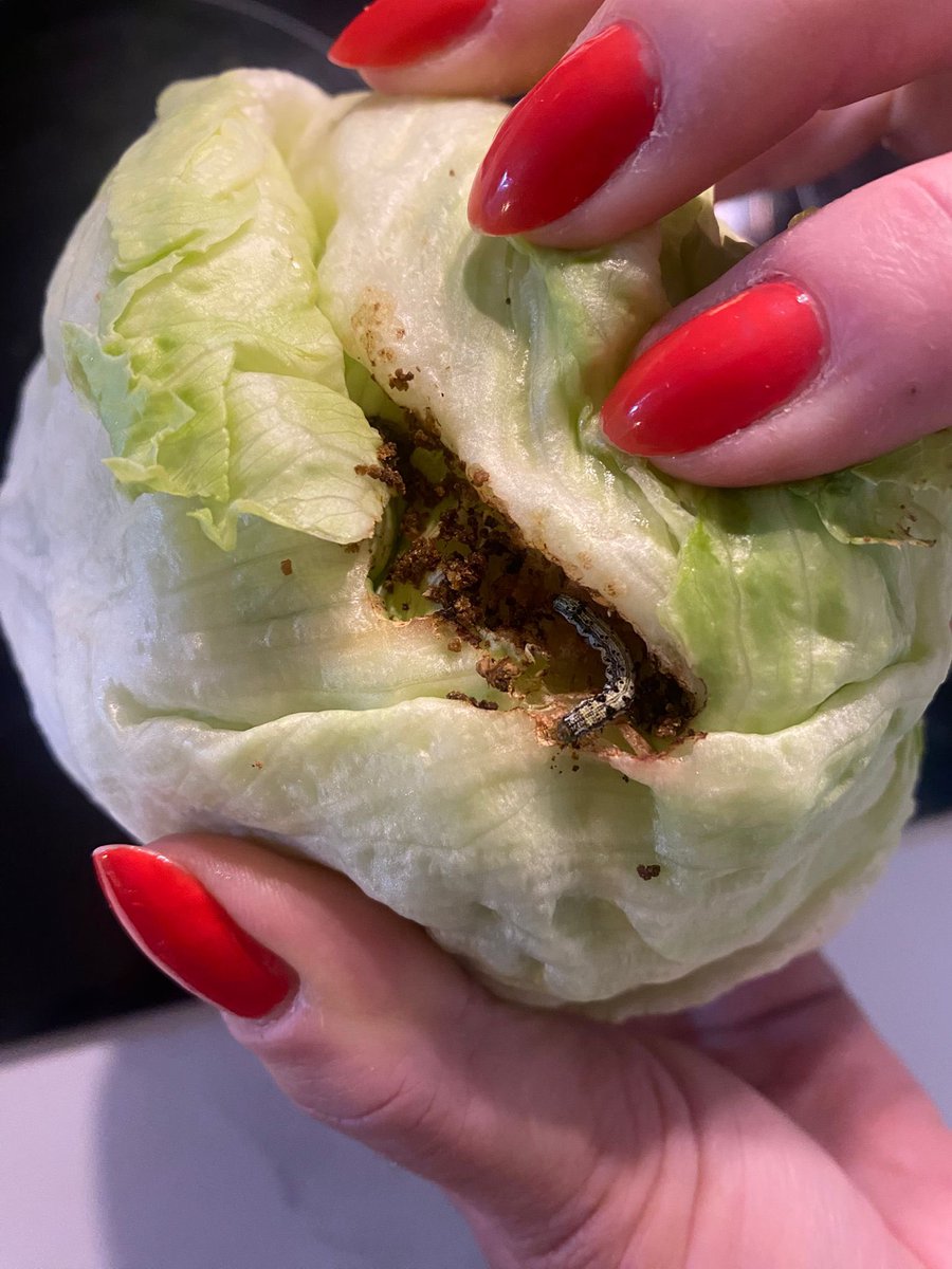 Janet DAC tweet media