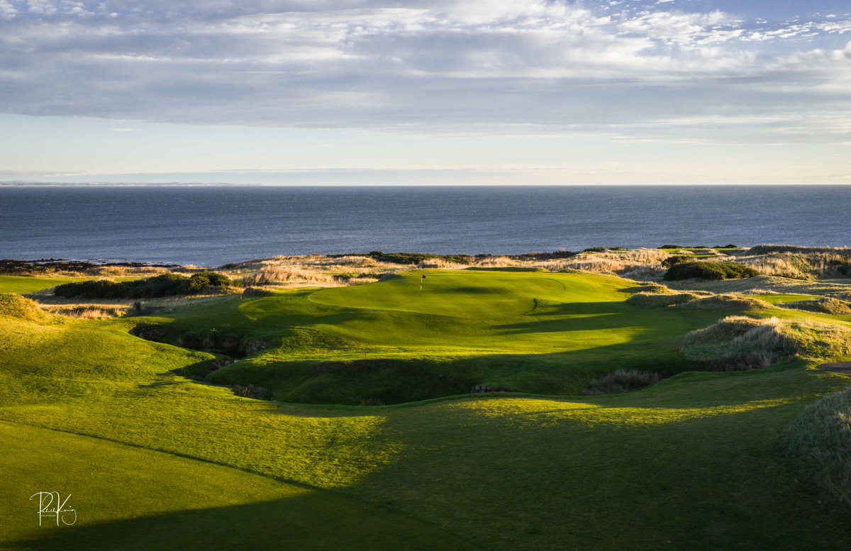 Patrick Koenig tweet media