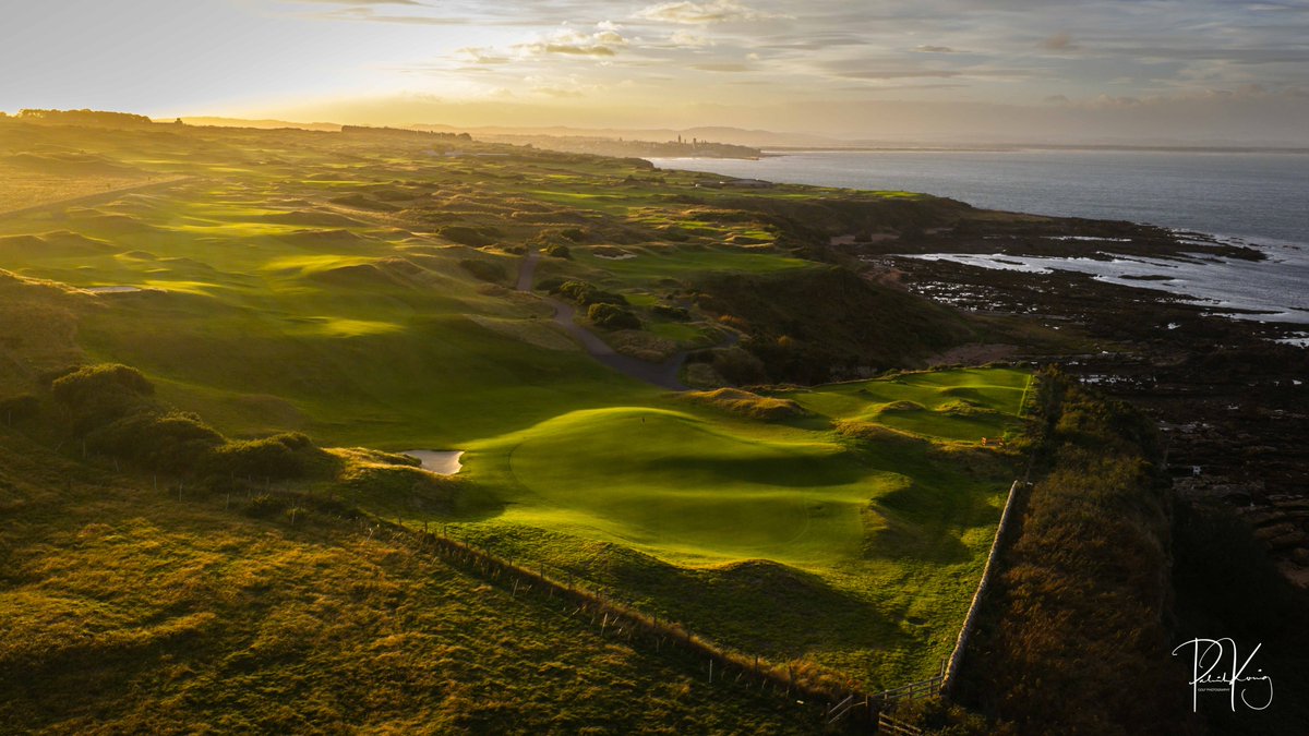 Patrick Koenig tweet media