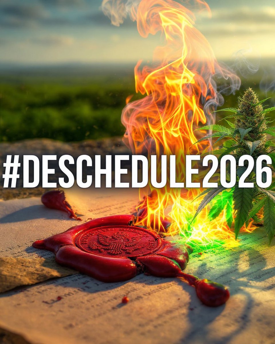 For too long, outdated federal laws have cast a long shadow over lives and communities. It's time to melt away those unjust prohibitions. We need real legislative change that puts people first, ensuring fair access, clearing records, and protecting our small growers. Let's ignite