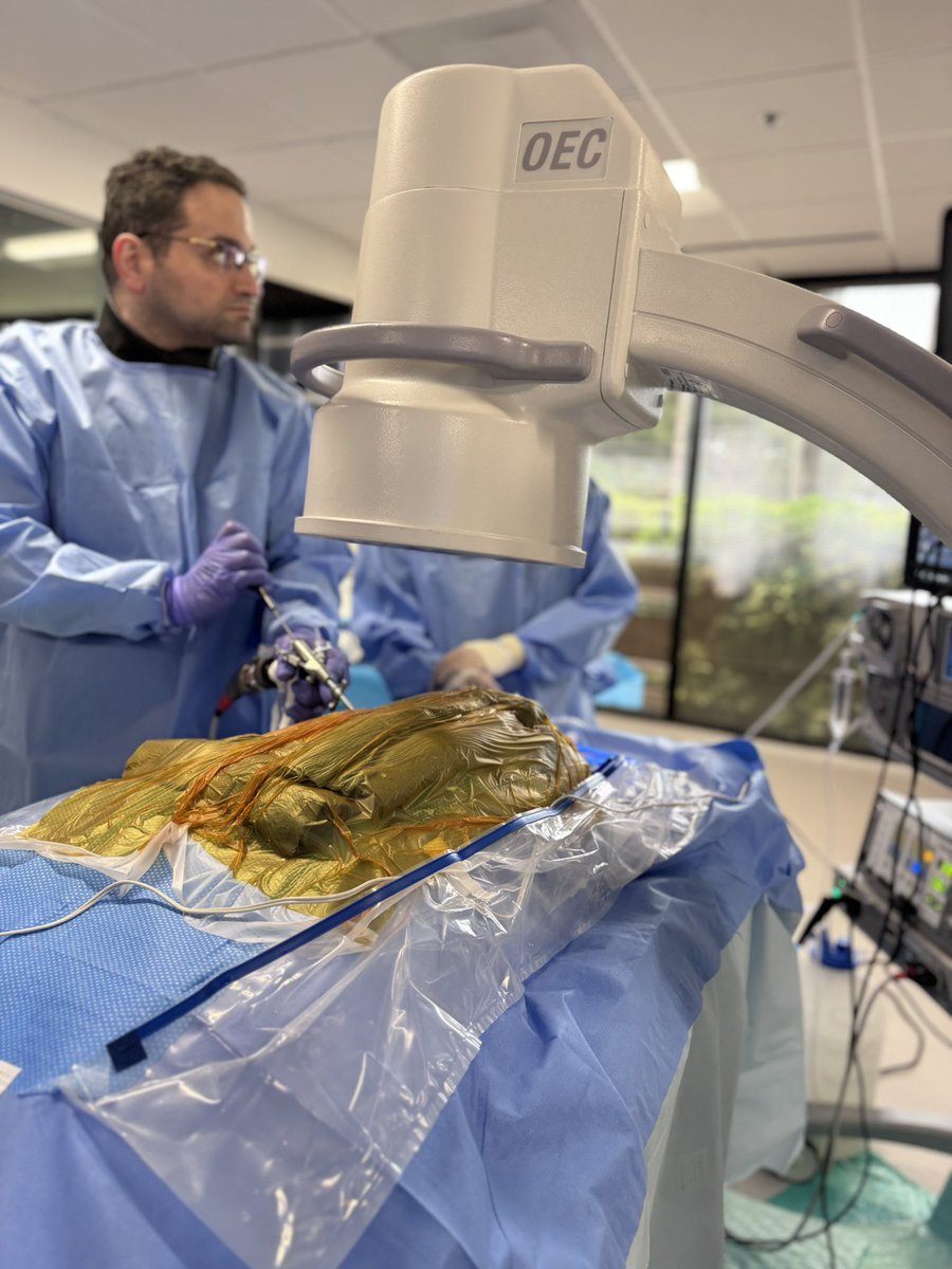 USFNeurosurgery's tweet image. Our Complex Spine Fellow Dr. Mohsen Rostami and Lakeland Neurosurgery Fellow Dr. Alex Küffer joined Arthrex Spine’s first Endoscopic Spine Fellow Lab led by Dr. Sheyan Armaghani. Advancing hands-on education in minimally invasive spine surgery.

#USFNeurosurgery #SpineSurgery