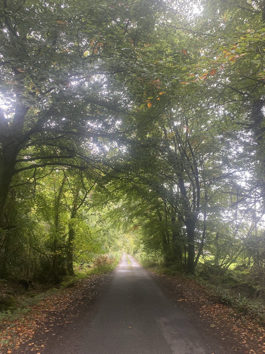 Angel of God, my guardian dear, to whom God's love commits me here, ever this day be at my side, to light and guard, to rule and guide. Amen".