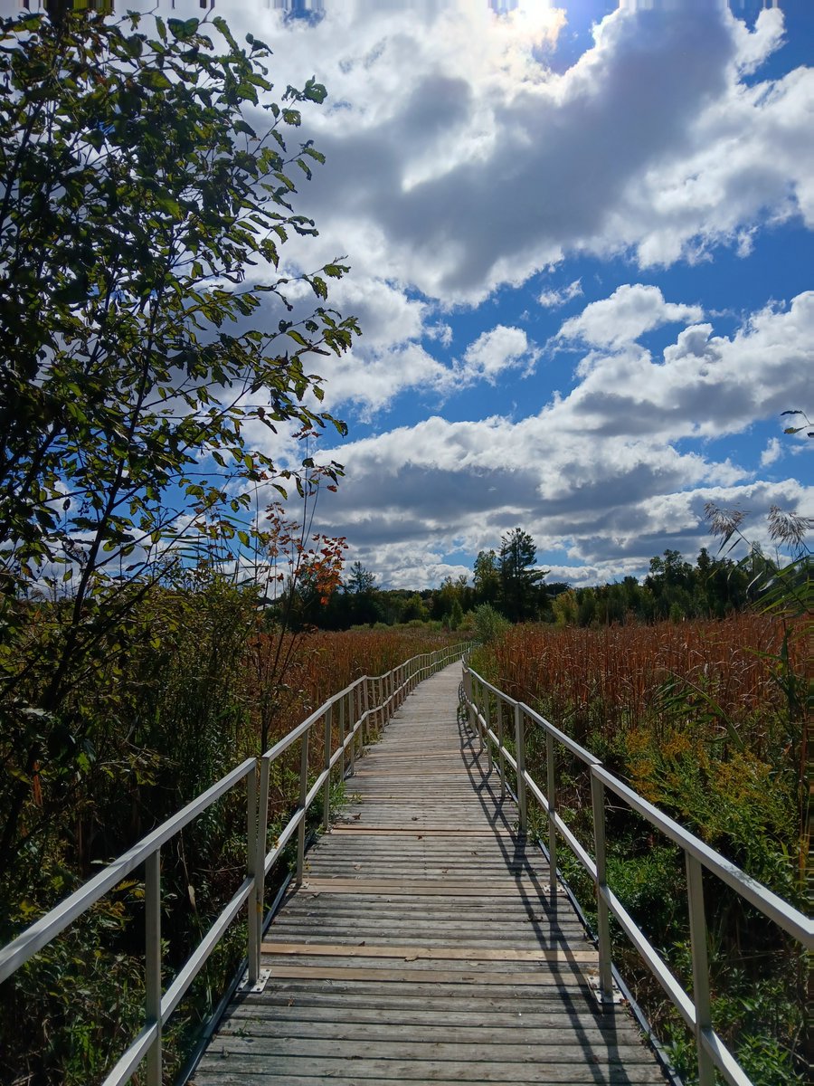 It's that time season.