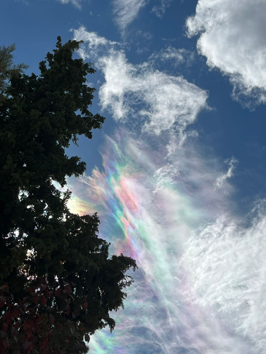 Bugünkü gökyüzümüz😍