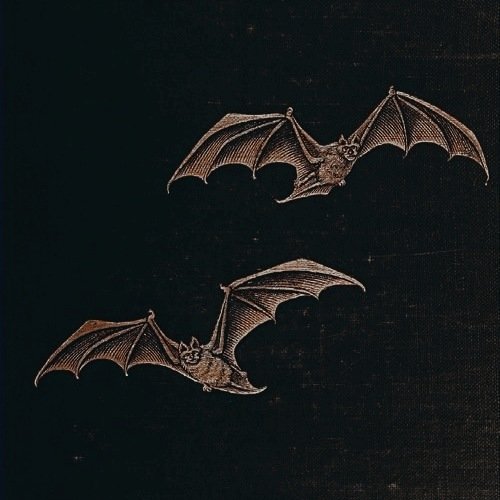 ️ ️
⠀
ㅤㅤ         𝐁𝐀𝐃 𝐁𝐎𝐘𝐒 𝐑𝐔𝐍𝐍𝐈𝐍𝐆 𝐖𝐈𝐋𝐃
ㅤㅤ        ￣￣￣￣￣￣￣￣￣￣￣￣￣￣
ㅤㅤ        “ If you don't play along with
ㅤㅤ         their games, you better get
ㅤㅤ         out of their way. ”
⠀