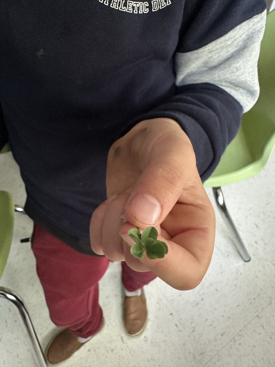 5 leaf clover?!? Does that mean we have extra luck ?🍀🤞🏻
•
<a href="/StLukeNepean/">St. Luke School (Nepean)</a> <a href="/OttCatholicSB/">Ottawa Catholic School Board</a>