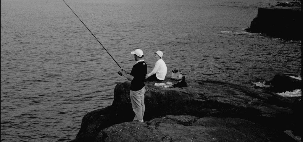 Pluviophile tweet media