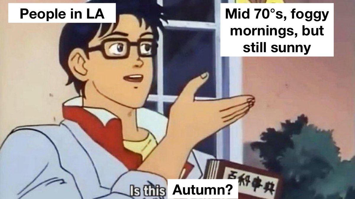 americanamemes's tweet image. People in LA trying to understand the mild weather in October: