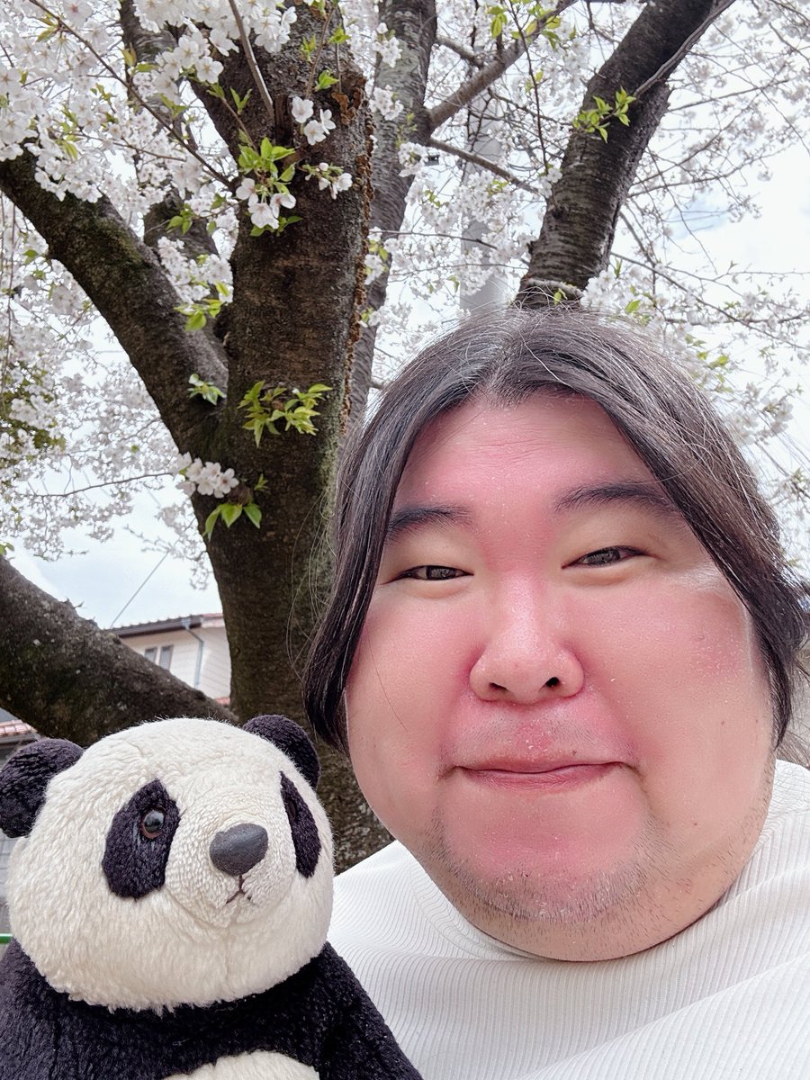 TakemiSomeya's tweet photo. 2025年だいぶ前の事を載せるのを
忘れた｡

4・6に家の近所の公園でサクラを観てきました🌸🐼😃
 #さくら  #公園 https://t.co/3f9IBqS9cF