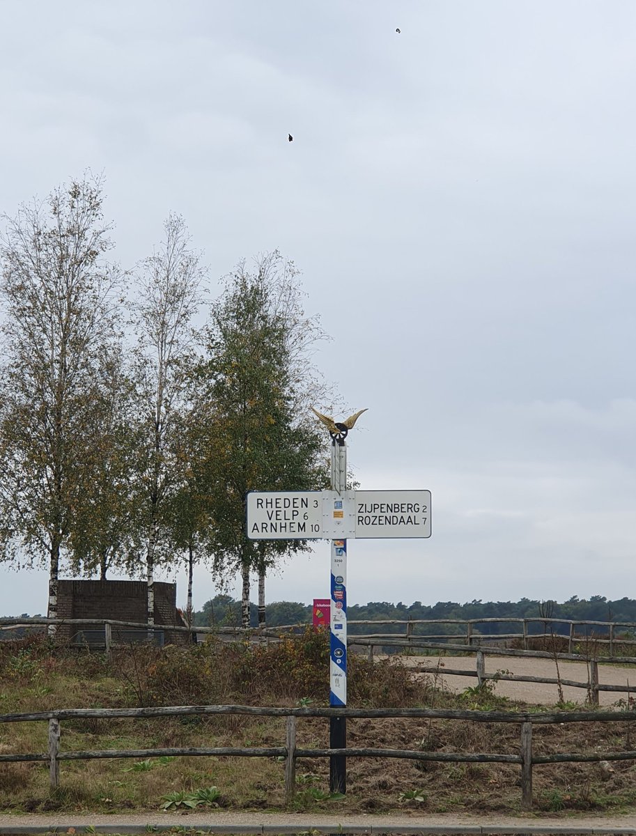 dianerove's tweet photo. Dagje #Arnhem en via de #posbank terug naar het #noorden https://t.co/U1FirH6eR3