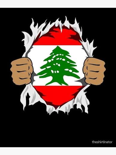 تعزيز فكرة الدولة في #لبنان يُضعف الزبائنية السياسية ويُقلّص جمهور #الأحزاب.
أليس من مصلحة بعض “الأحزاب السيادية” بقاء سلاح #حزب_الله غير الشرعي، ليحافظوا على سرديةٍ سياسية تُنعش حضورهم مع اقتراب الانتخابات؟
#انتخابات_٢٠٢٦ #السيادة