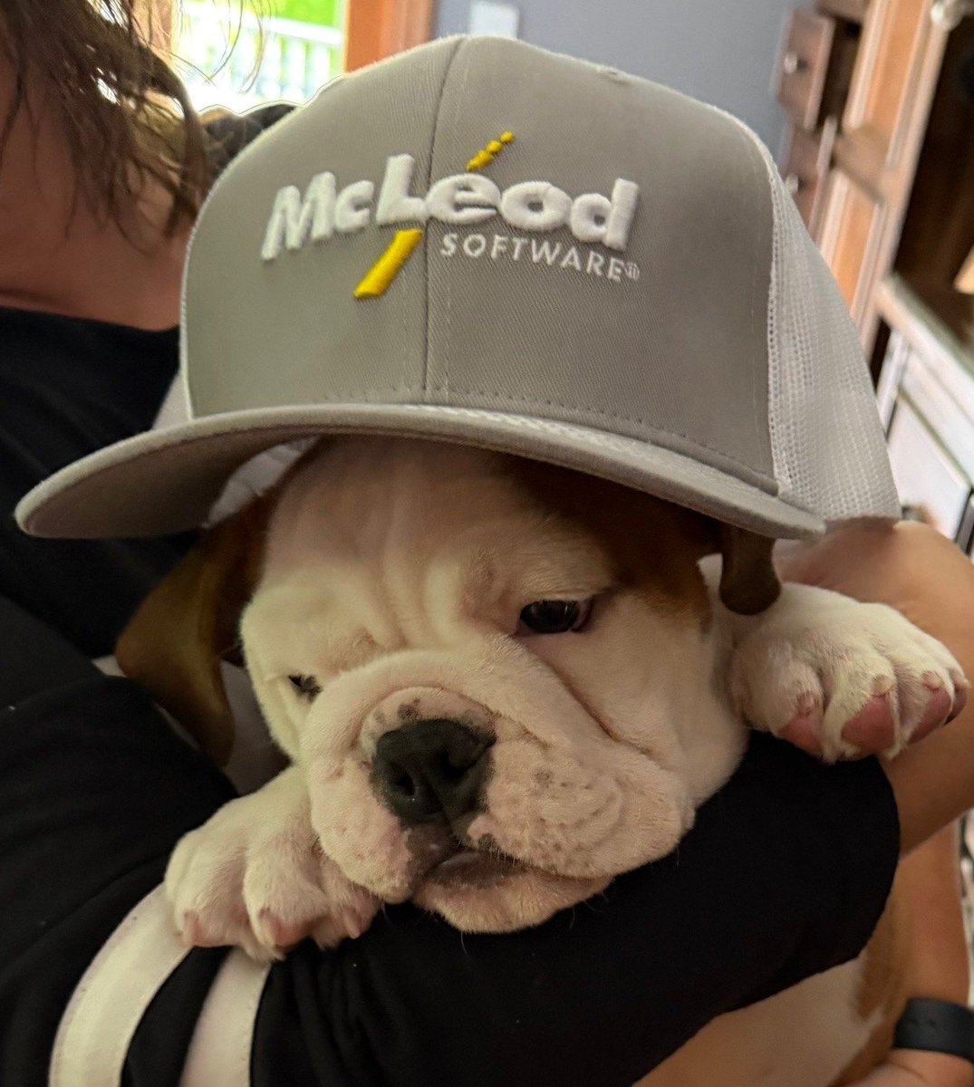 That's one stylish pup!! Thanks to our friends at Brakebush Transportation for sharing!