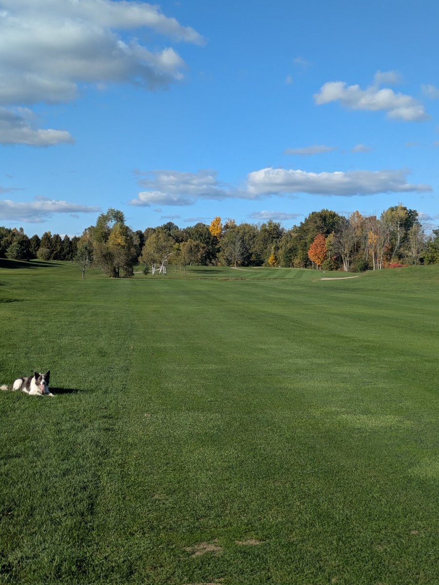 KeystoneLinks's tweet image. Frost Delay Thursday October 9. 9:30 Est. FTT. #fallgolf #ptbo