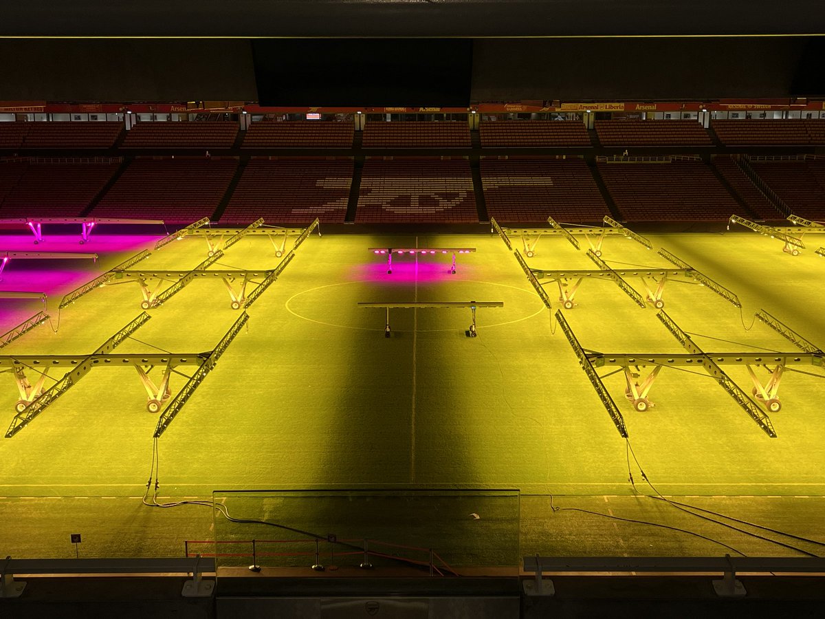 REDaction Gooners tweet media