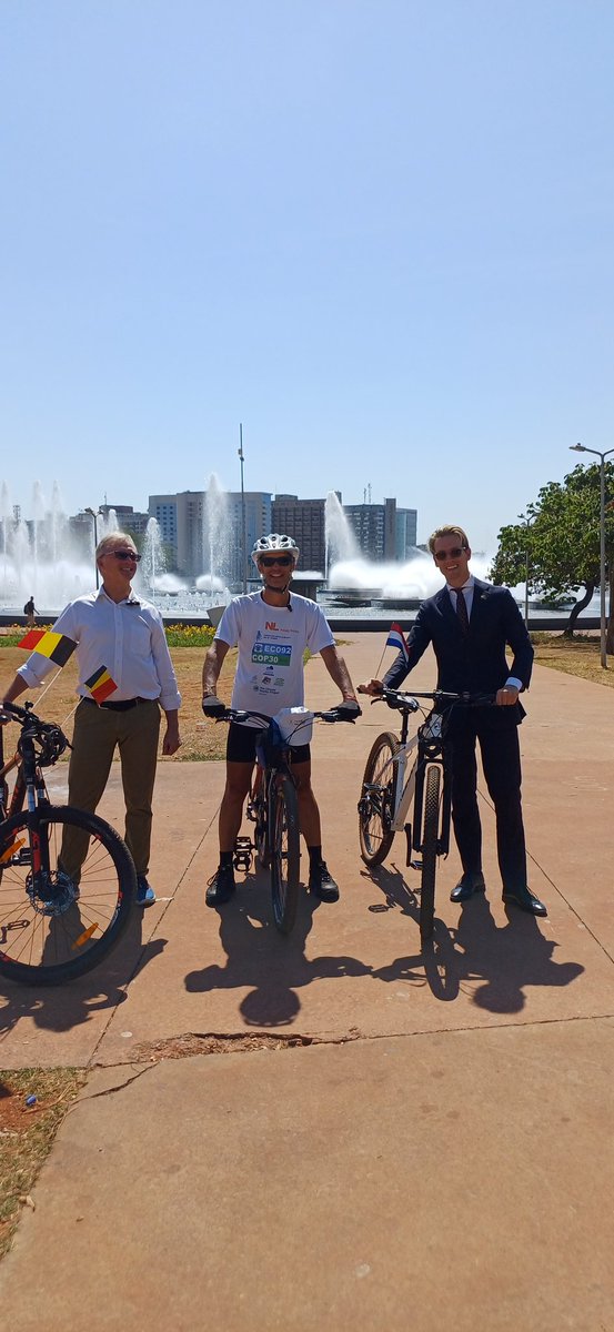 Bélgica no Brasil tweet media