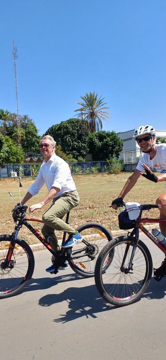Bélgica no Brasil tweet media