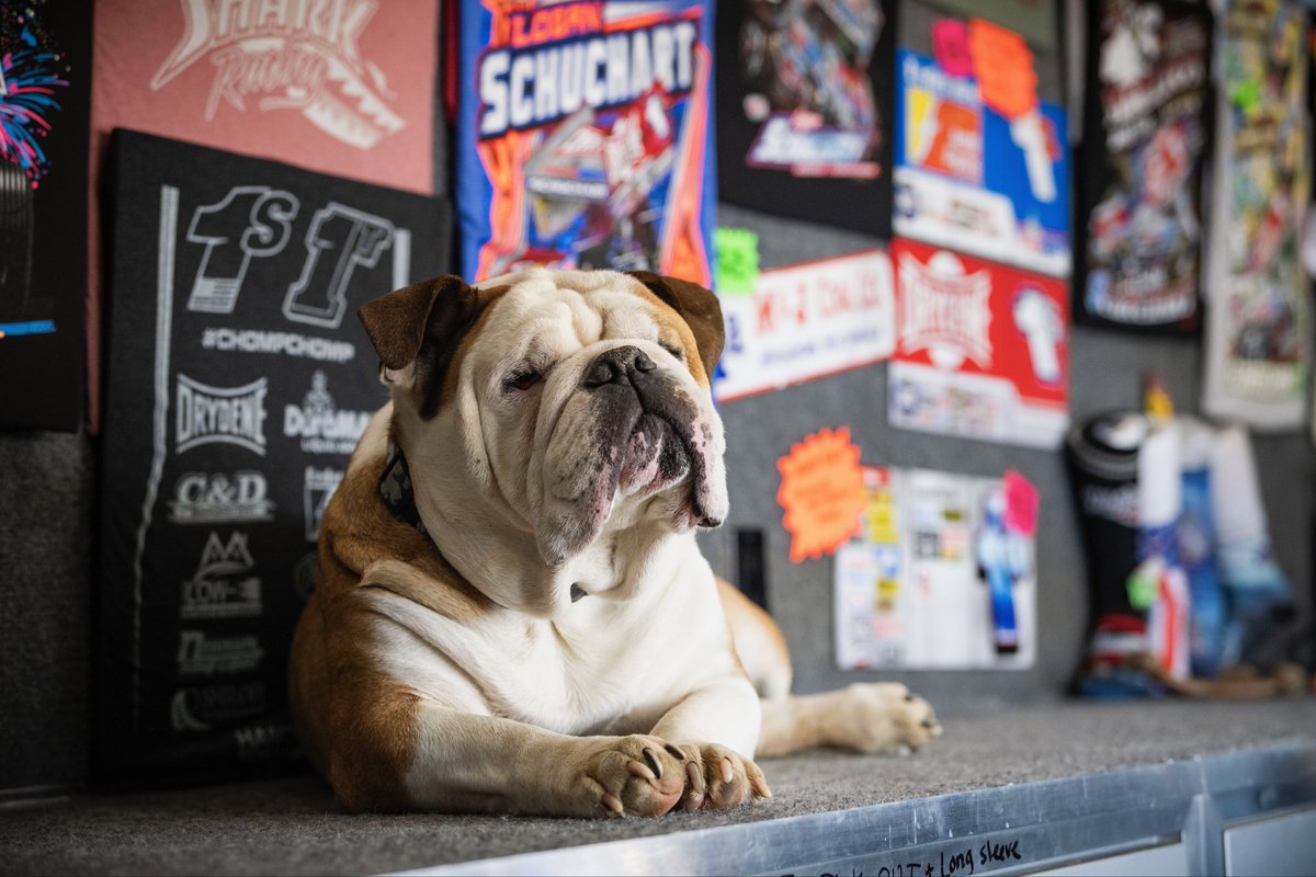 World of Outlaws tweet media