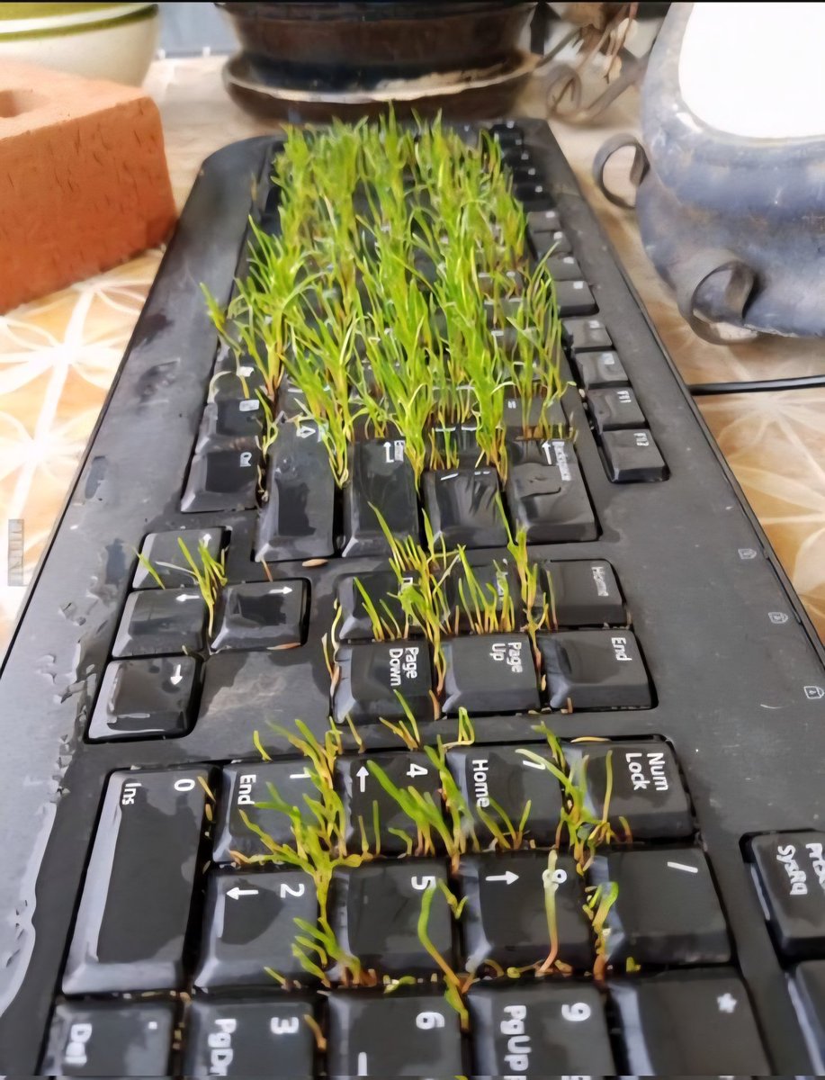 HarshitNamdev0's tweet image. Organic Keyboard!!!