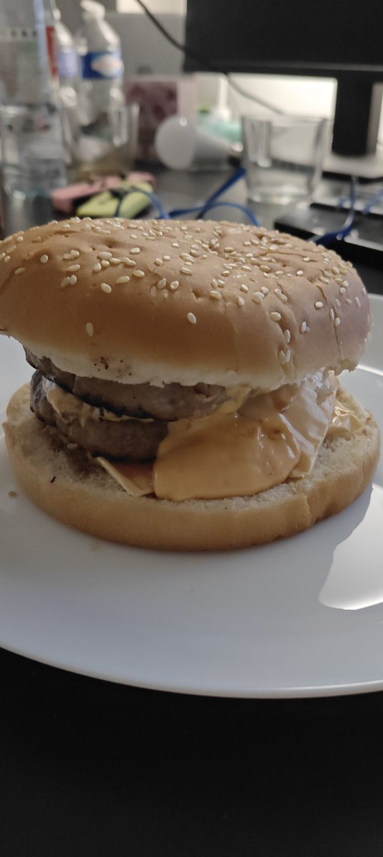 Salut Internet, regardez mon burger :))