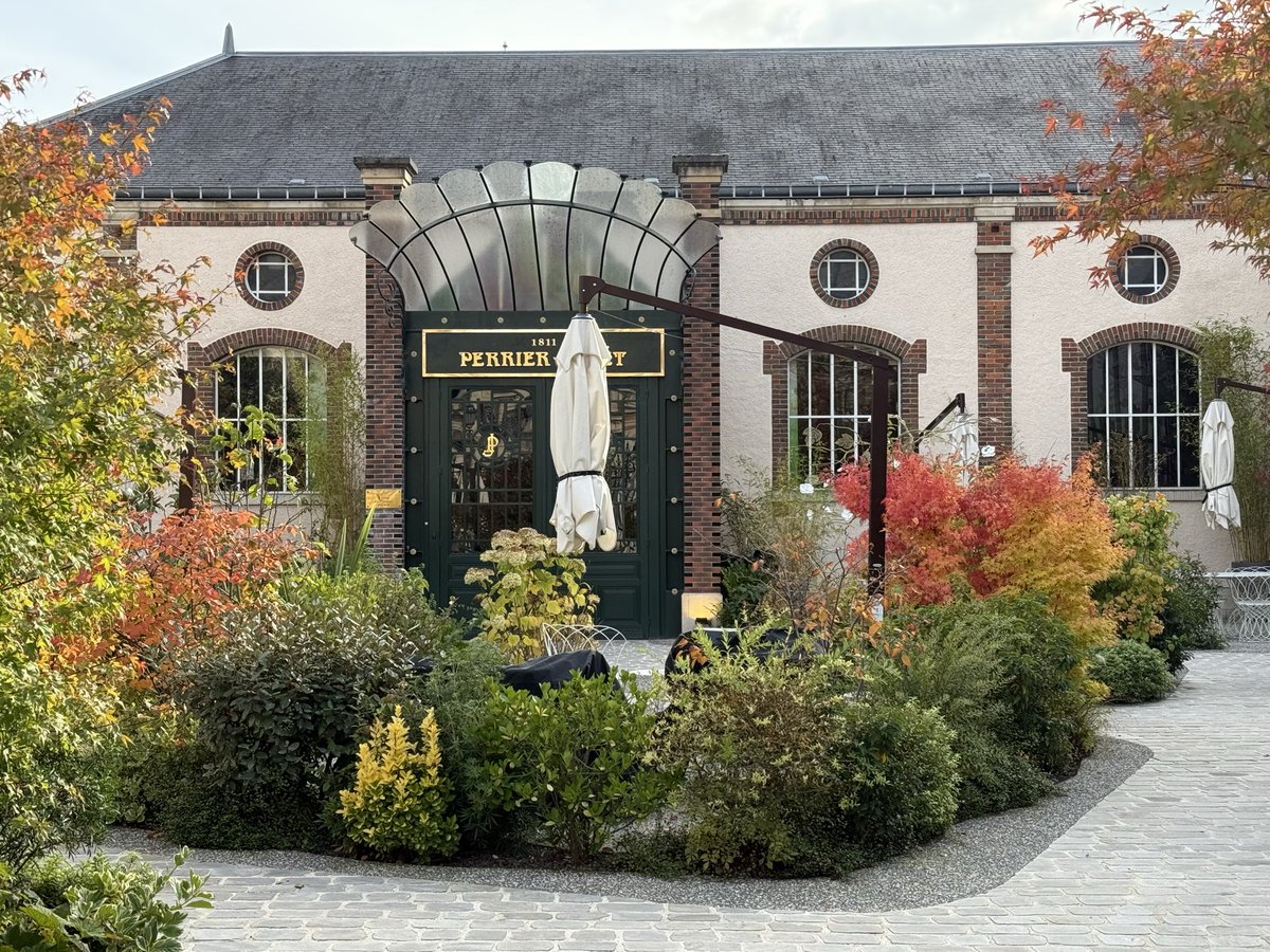 Jennifer Ellis tweet media