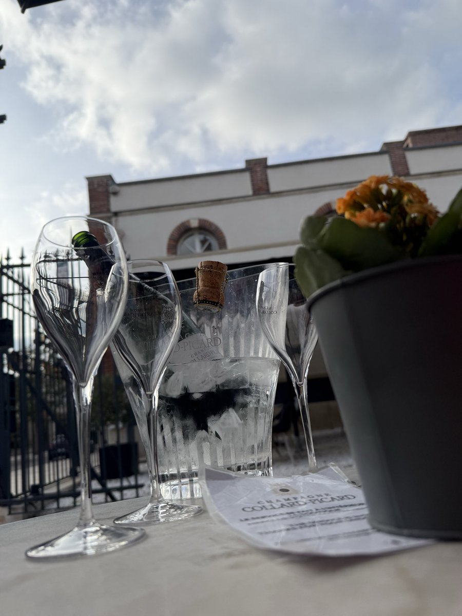 Jennifer Ellis tweet media