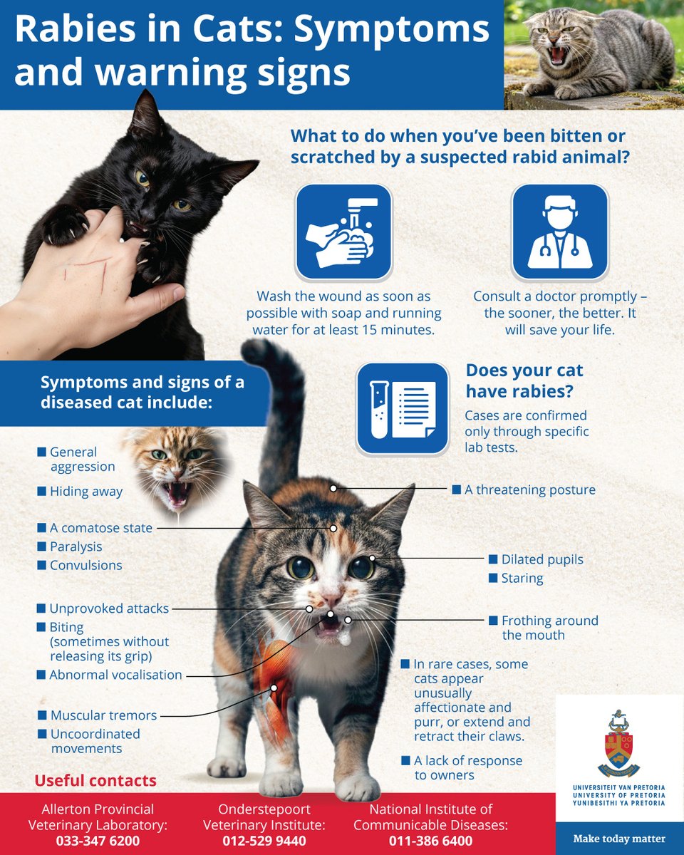 University of Pretoria tweet media