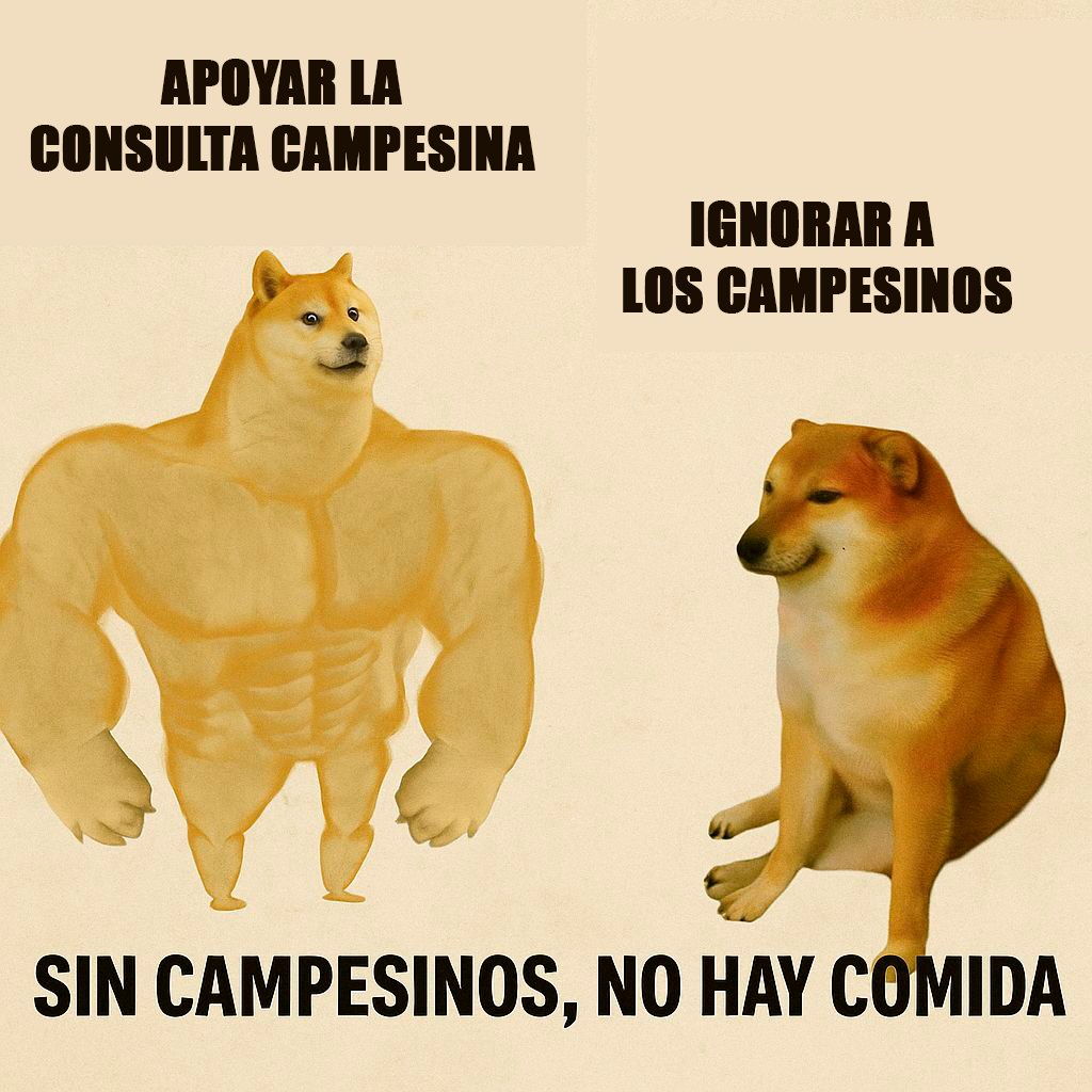 ¡Arrancó la Consulta Campesina!

Hoy estamos en más de 17 ciudades recogiendo firmas para que la justicia social también se siembre desde la tierra.

Cada firma es esperanza y dignidad.

#ConsultaCampesinaYa