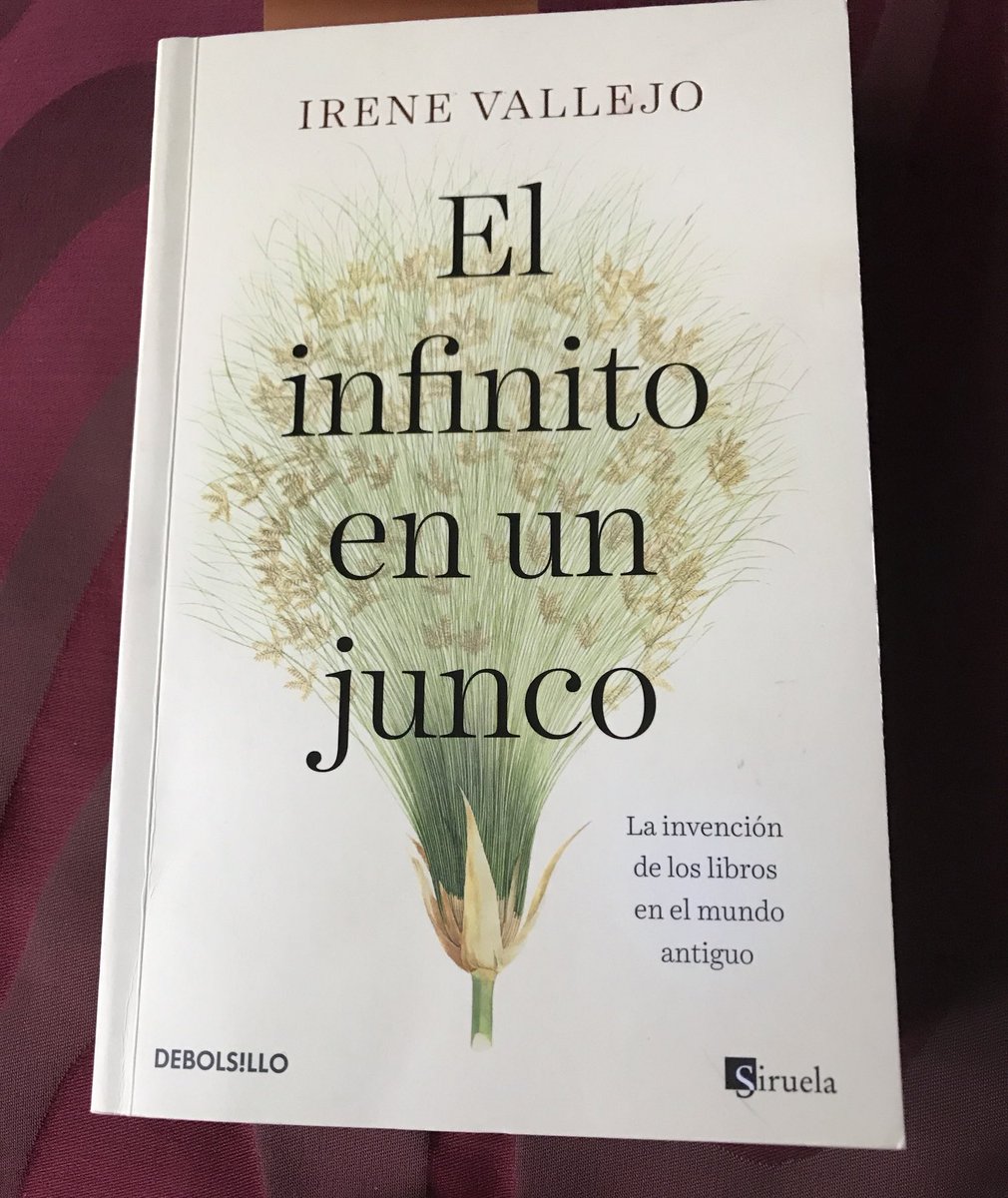 Mientras contemplo la belleza de los papiros, siento que este libro roza la perfección.
🤩