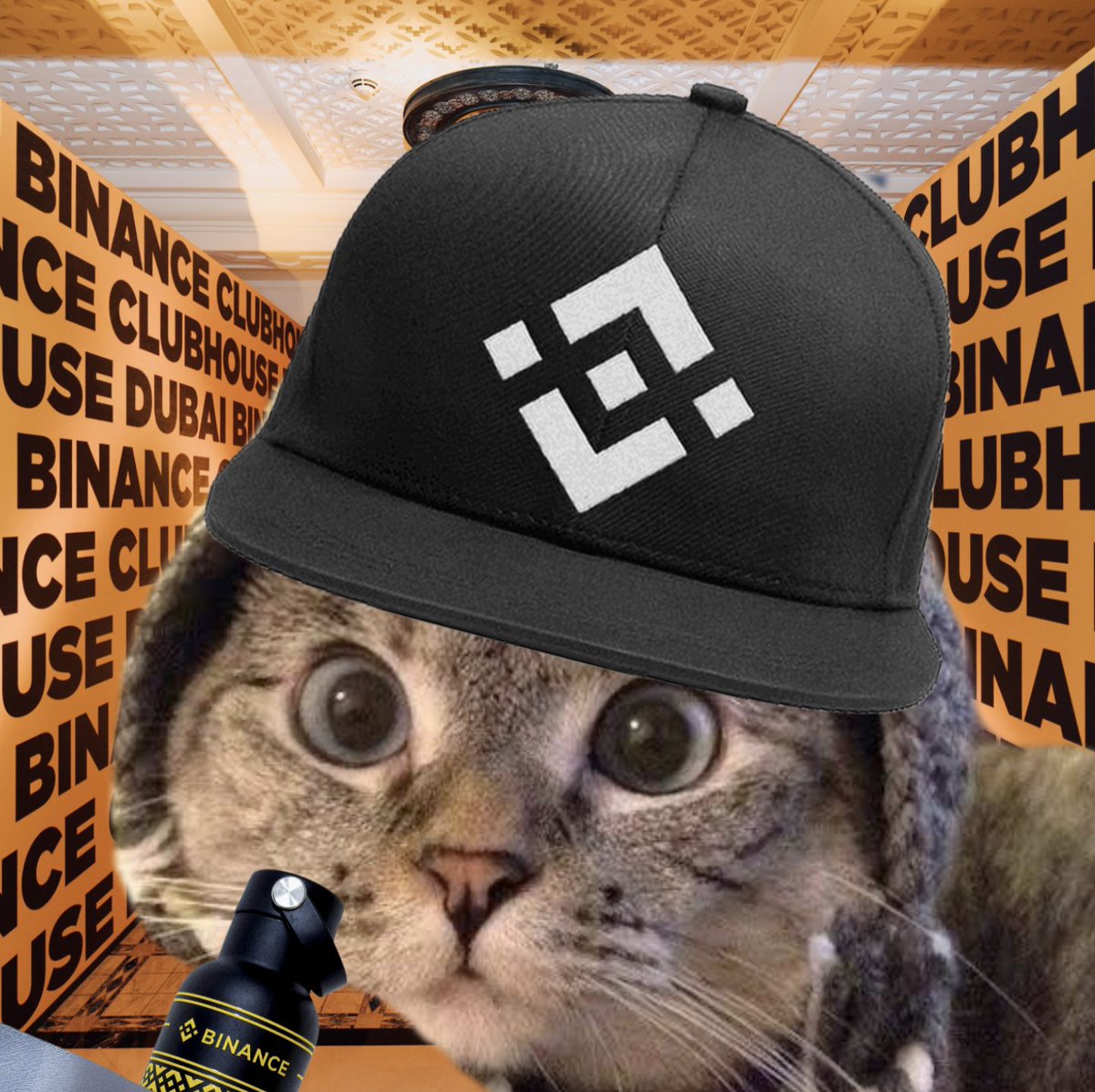 SharkCatSolana's tweet photo. hey @cz_binance kekek https://t.co/9S5bNBkMbT