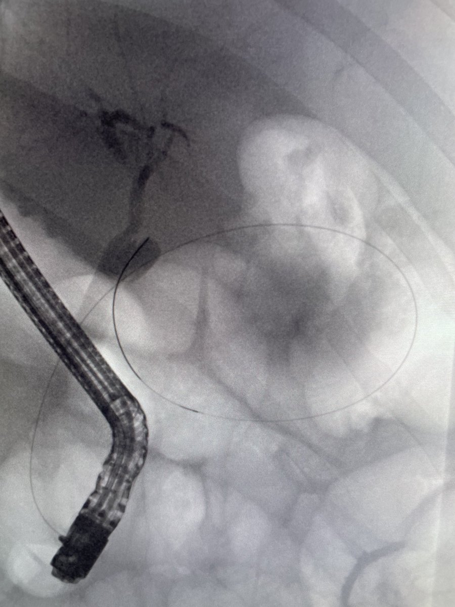 Douglas G. Adler MD, FASGE, FACG, AGAF tweet media