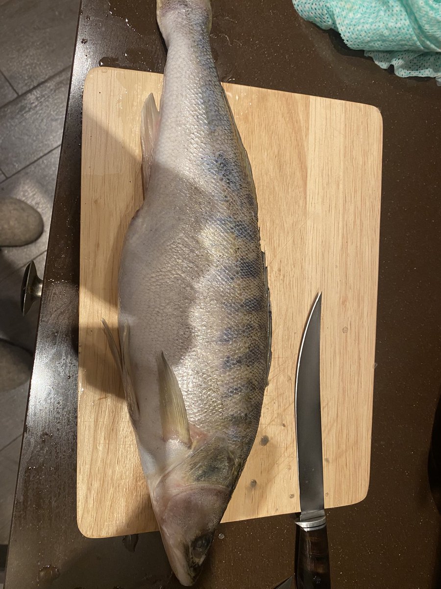 Почистил. Приступил к разделке. Немедленно вспомнился <a href="/Zavsehoroshee/">Алексей Ставридос</a>