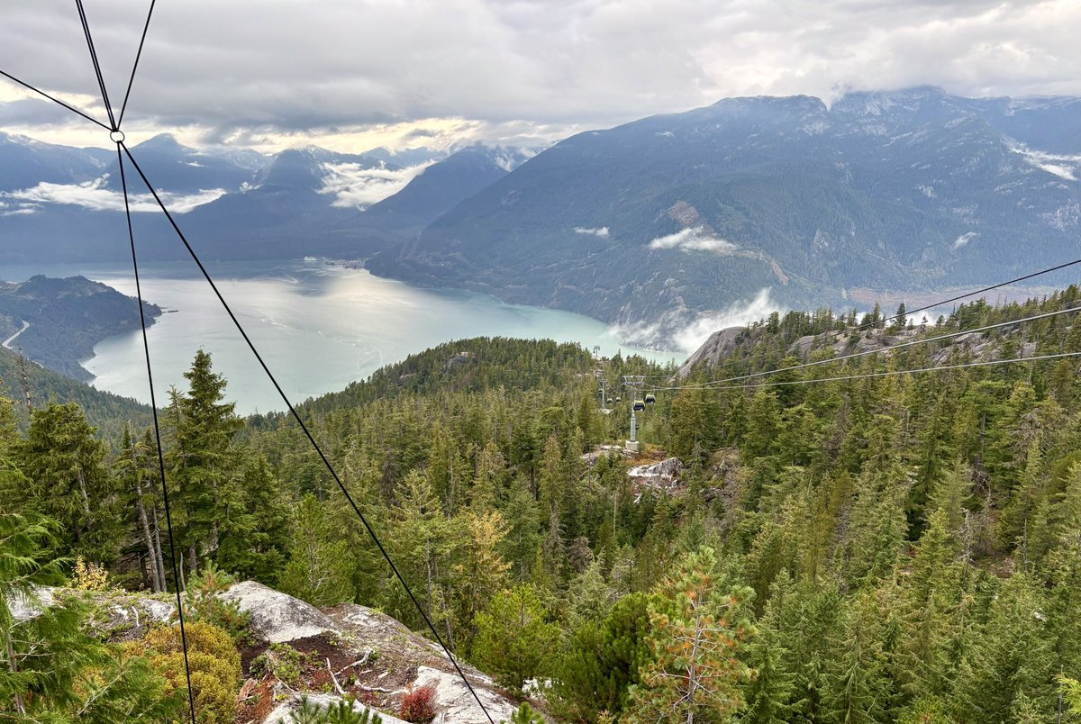 Angel Forum Canada tweet media