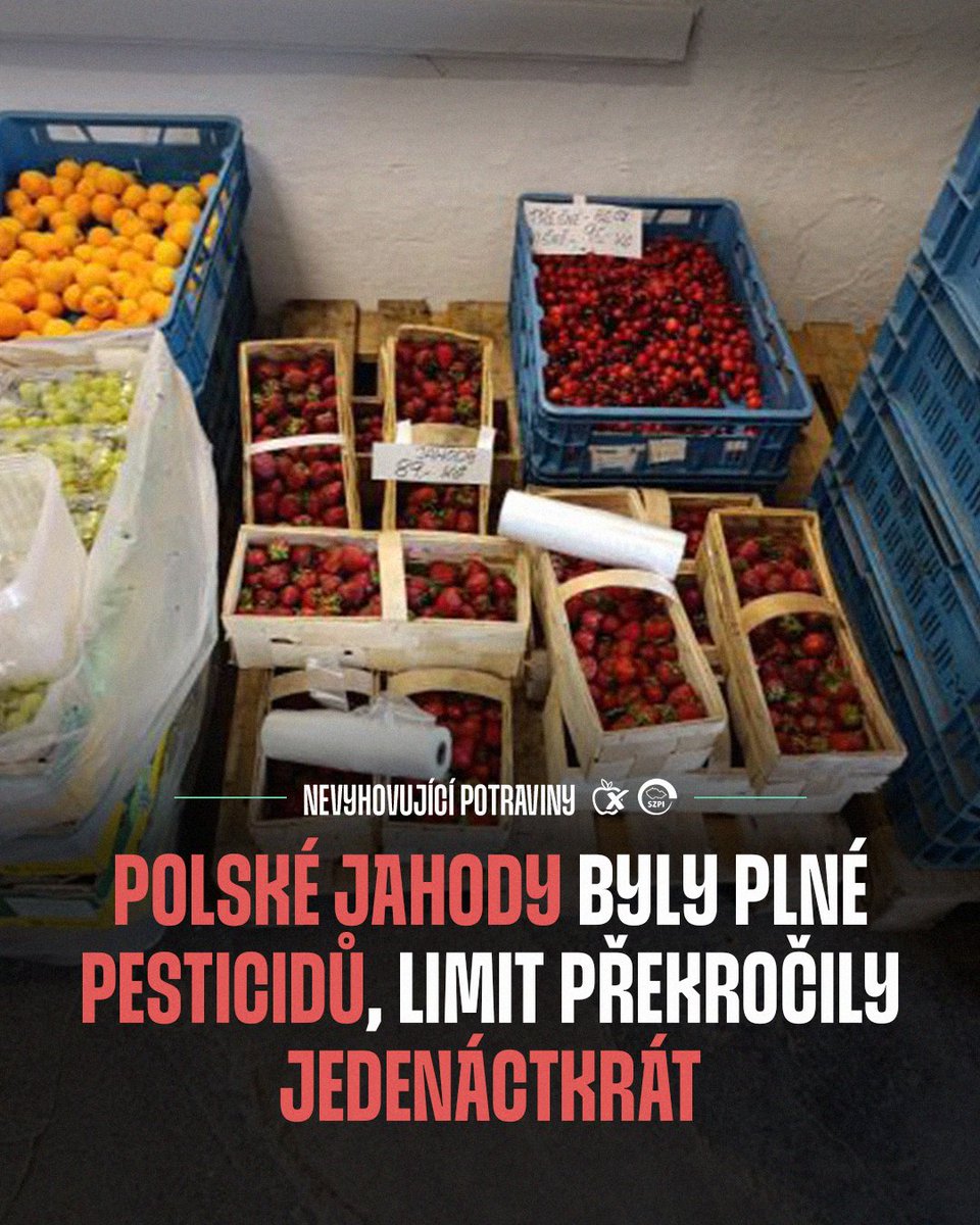 NaPranyri's tweet photo. 🍓 Polské jahody byly plné pesticidů. Limit překročily jedenáctkrát, zjistila Potravinářská inspekce
➡️ Více informací o zjištění včetně kompletní fotodokumentace:
https://t.co/uz9WRAlihw
#napranyri #potravinynapranyri #potraviny #opava #polsko #jahody #szpi https://t.co/7tFQuHD6uA