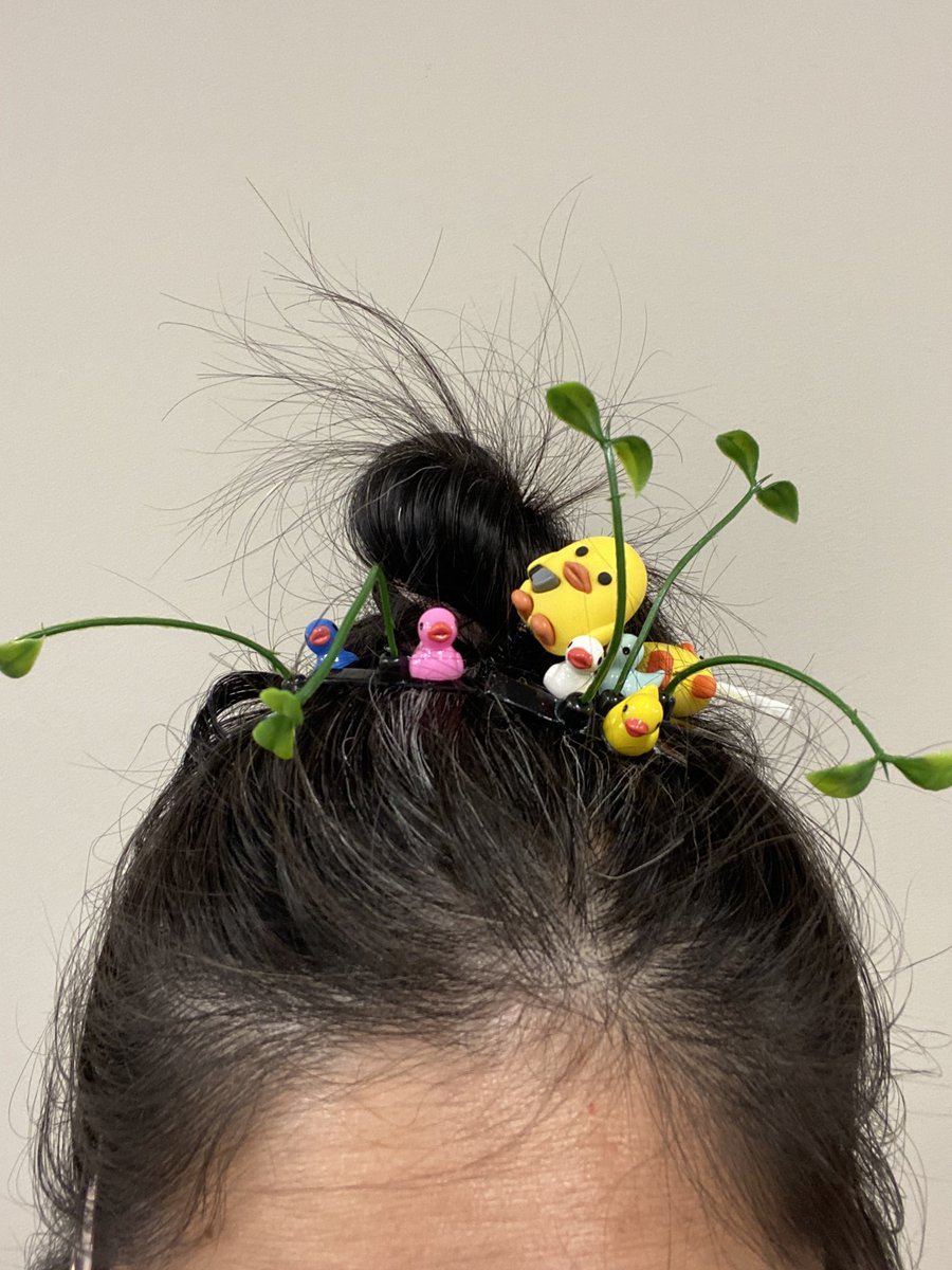 It’s a DUCKING KINGDOM!!?

#edm #RavenCrafts #plur #ota