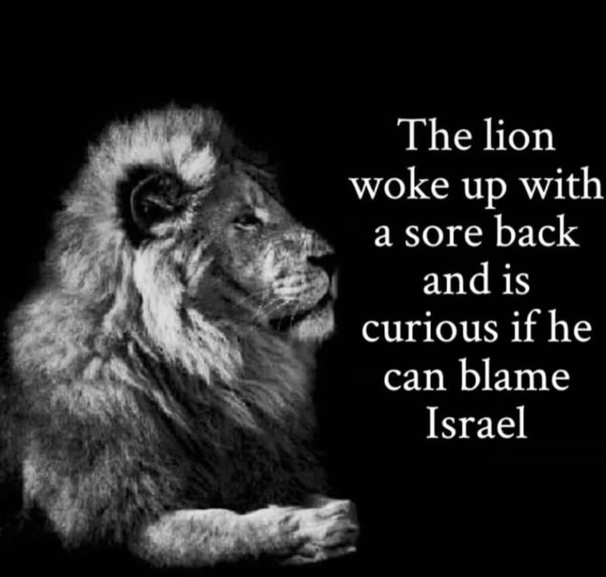 _Freaky_Bee_'s tweet image. 