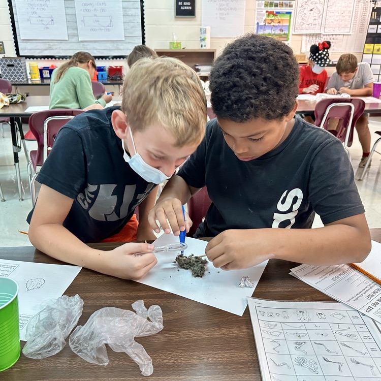 LocustCorner's tweet photo. Fifth Grade Owl 🦉 Pellet Lab https://t.co/Ogmw7ZF0m1