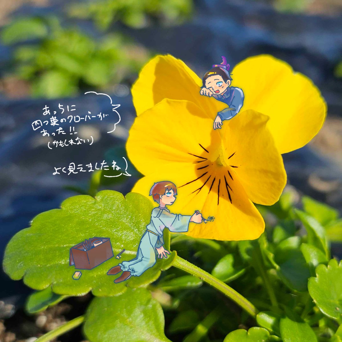 ✵・やまか・✵ まちなか on X