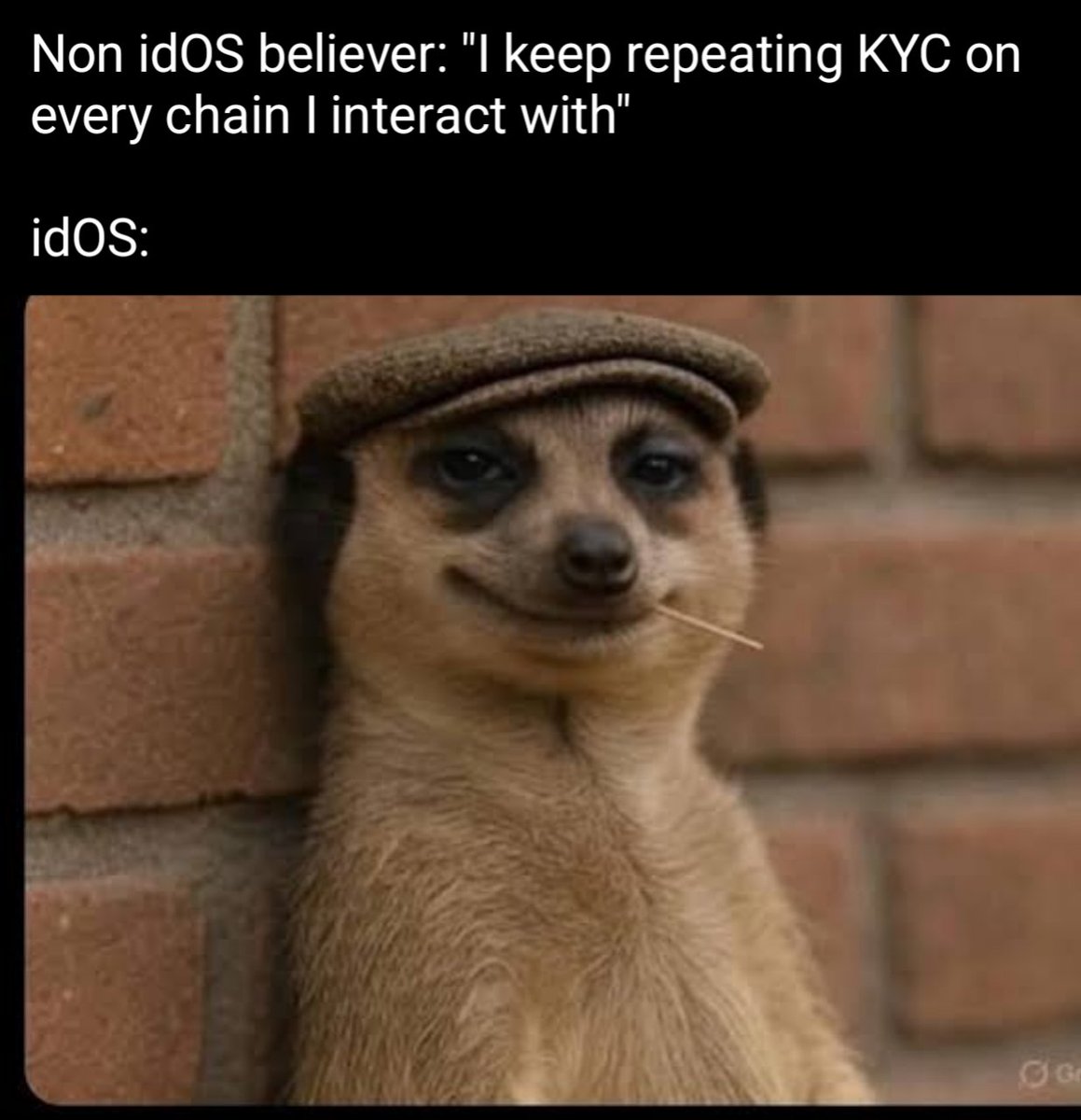 gidOS everyone 

Stay Locked in on <a href="/idOS_network/">idOS</a>