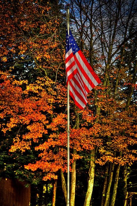 ACC_National's tweet image. America isn&apos;t an idea. It&apos;s home.